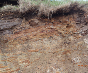 Soil Test Eden, Contamination Pavements Sutherland, Site Classification Illawarra, Pre-purchase Inspections Moss Vale