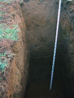 Pre-purchase Inspections Moss Vale, Soil Test Eden, Contamination Pavements Goulburn, Site Classification Wollongong